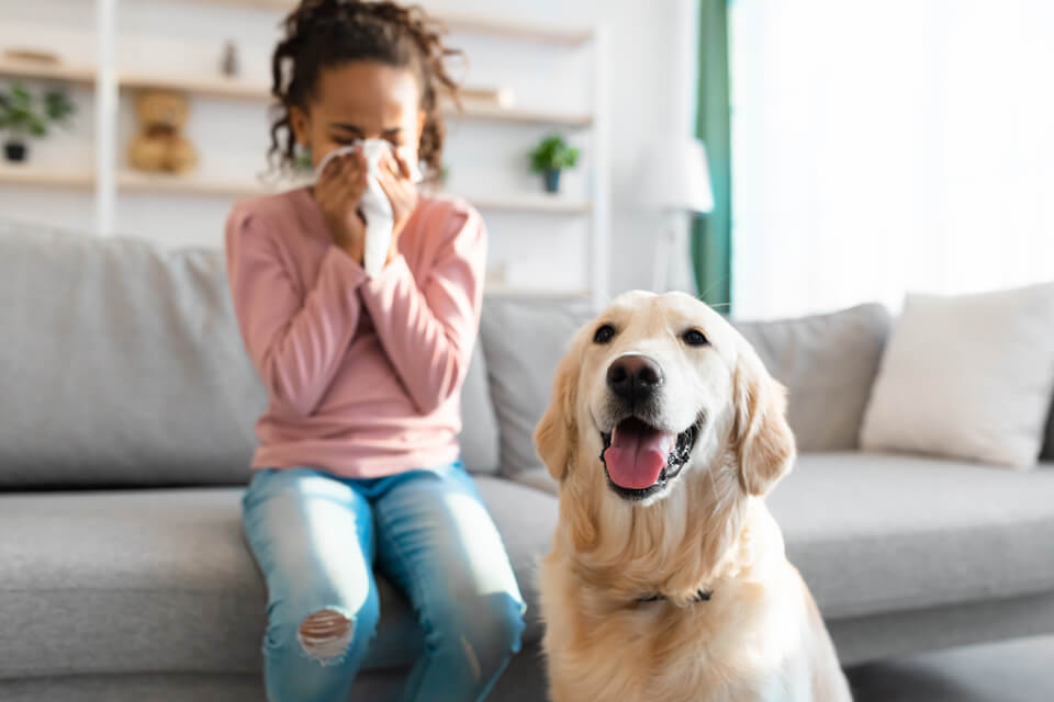 Dog Dander Allergy Test