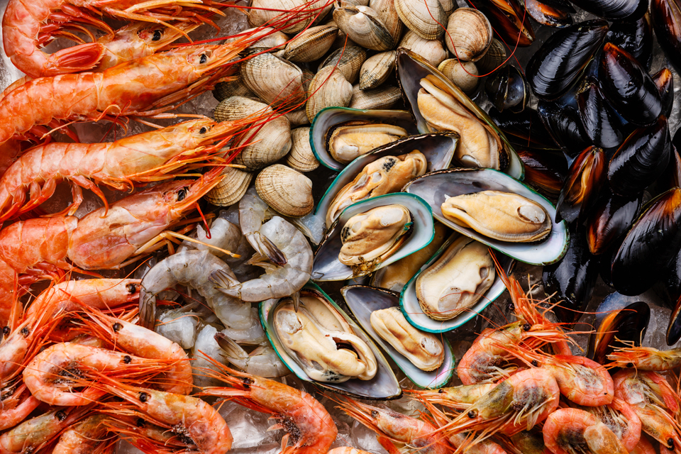 Shellfish Allergen Profile Test
