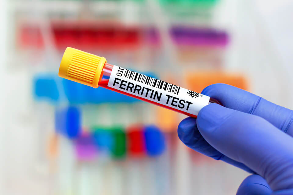 Ferritin Test | HNL Patient Portal